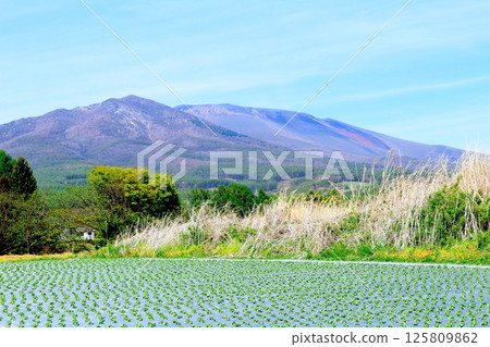 五月的淺山和高原菜田 信州的山脈 信州的自然風光 信州的風景 五月的淺山和高原菜田 信州的山脈 信州的自然風光 信州的風景 125809862