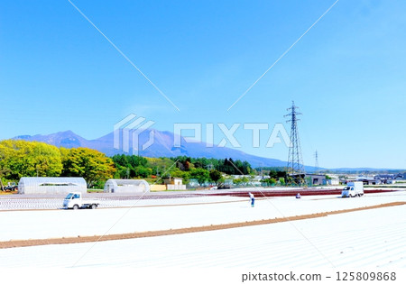 Mt. Asama and highland vegetable fields in May Mountains of Shinshu Nature of Shinshu Scenery of Shinshu 125809868