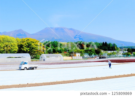 五月的淺山和高原菜田 信州的山脈 信州的自然風光 信州的風景 125809869