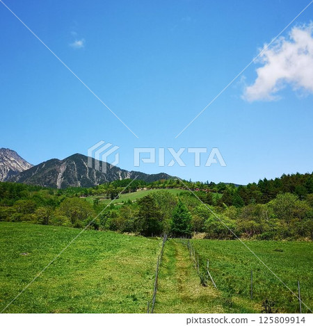 美森山登山初夏 美森山登山初夏 125809914