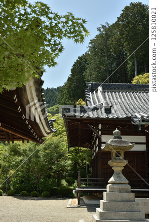 Spring at the Shakado Hall of Nishiyama Zenpoji Temple (Nishikyo Ward, Kyoto City) 125810021