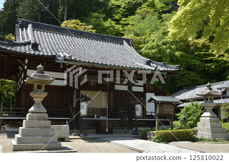 西山善法寺釋迦堂的春天(京都市西京區) 西山善法寺釋迦堂的春天(京都市西京區) 125810022
