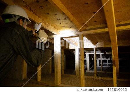 Home inspection, investigation, diagnostic image 125810033