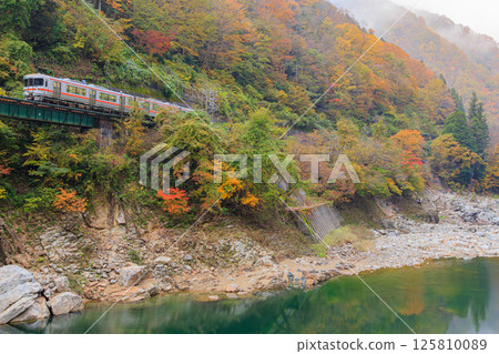 A diesel railcar on the Takayama Main Line runs over the 11th Miyagawa Bridge, shrouded in autumn leaves in the morning mist. A diesel railcar on the Takayama Main Line runs over the 11th Miyagawa Bridge, shrouded in autumn leaves in the morning mist. 125810089