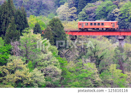 A single-car diesel railcar on the Etsumi-Hoku Line crossing the No. 2 Kuzuryu River Bridge A single-car diesel railcar on the Etsumi-Hoku Line crossing the No. 2 Kuzuryu River Bridge 125810116