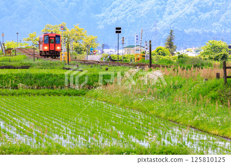 A single-car diesel railcar on the Echigo-Minami Hokuriku Line running alongside the rice paddies and fields of Doudou 125810125