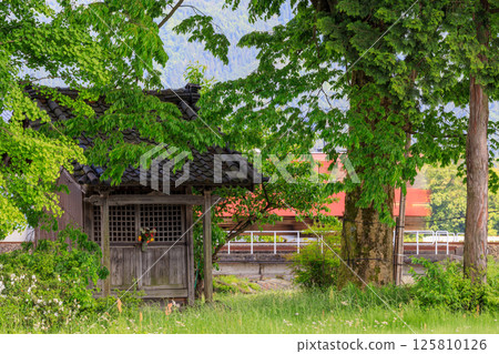 越前南北線的柴油列車在越前田野的神社後面行駛 125810126