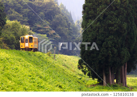 The yellow Akita Inland Line train running along the Tozawa Embankment in the early morning 125810138