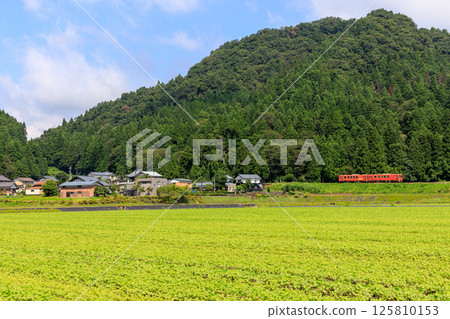 A diesel train on the Echigo-Minami-Hoku Line runs alongside a spacious field. 125810153