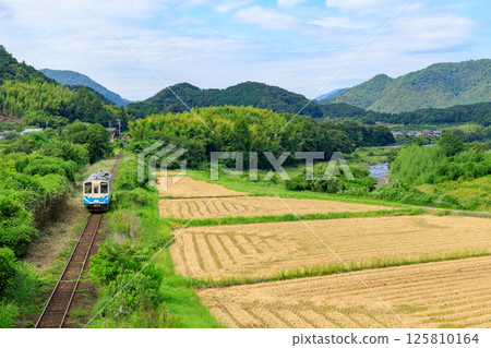 A Yodo Line diesel train runs past rice fields just after harvest, which still retain geometric patterns. 125810164