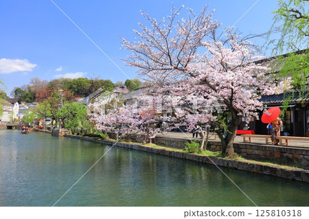 【岡山縣】櫻花盛開的倉敷美觀地區 125810318