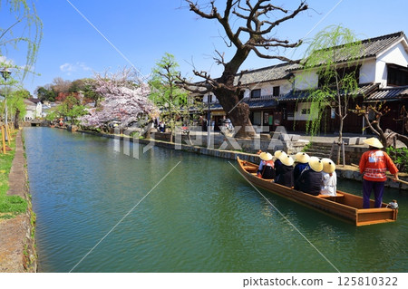 [Okayama Prefecture] Cherry blossoms in full bloom in Kurashiki Bikan Historical Quarter (Boat Nagashi) 125810322