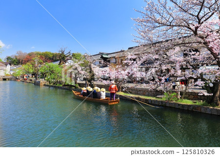 [Okayama Prefecture] Cherry blossoms in full bloom in Kurashiki Bikan Historical Quarter (Boat Nagashi) 125810326