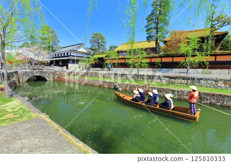 [Okayama Prefecture] Cherry blossoms in full bloom in Kurashiki Bikan Historical Quarter (Boat Nagashi) 125810333