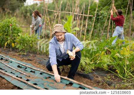 Man is planting seeds in plastic bed Man is planting seeds in plastic bed 125810603