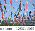 Carp streamers flying in the blue sky at Akutagawa Sakura Tsutsumi Park (photographed in April 2025 in Takatsuki City, Osaka Prefecture) 125811365