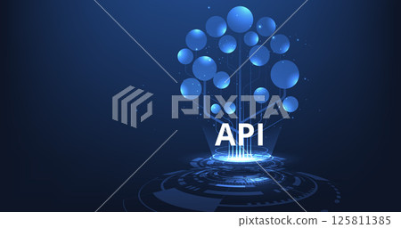 Application Programming Interface (API) concept. 125811385