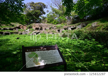 鎌倉曼荼羅堂 鎌倉曼荼羅堂 125812287