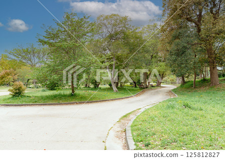 The path leading to Musashino Garden in Akashi Park, Hyogo Prefecture 125812827