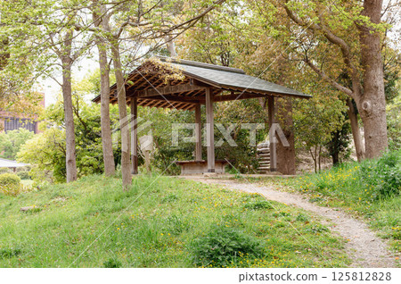 A gazebo near Otomeike Pond 125812828