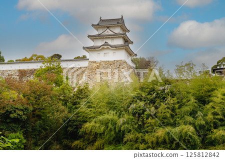 A view of the Tatsumi Tower from the northern end of Musashino Garden A view of the Tatsumi Tower from the northern end of Musashino Garden 125812842