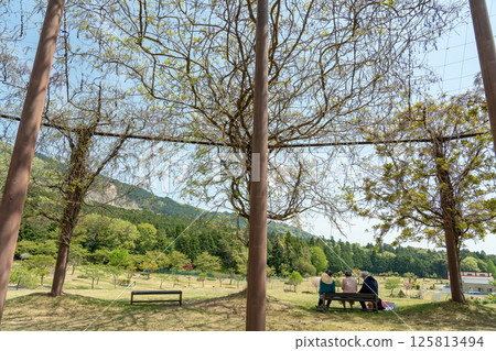 初夏時節，三重縣員弁市農業公園的紫藤穹頂下，老人在休息 125813494