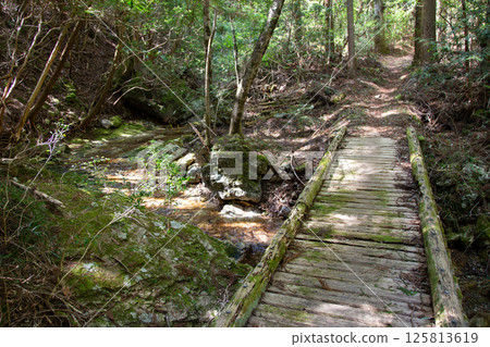 Tanayama Plateau - Tanayama scenery (Tokai Nature Trail, Shinshiro City, Aichi Prefecture) 125813619