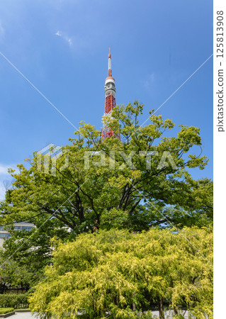 東京塔周圍 125813908