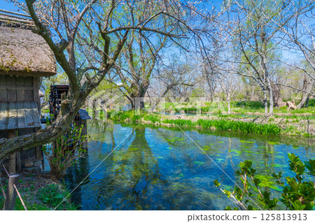 長野縣安曇野市的清澈的曇河水和水磨坊 125813913