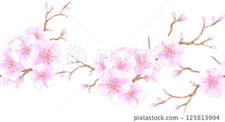 Hand drawn watercolor cherry blossom seamless border. Illustration of spring flowers isolated on white background. Can be used for textile, fabric, wrapping and other printed products. Hand drawn watercolor cherry blossom seamless border. Illustration of spring flowers isolated on white background. Can be used for textile, fabric, wrapping and other printed products. 125813994