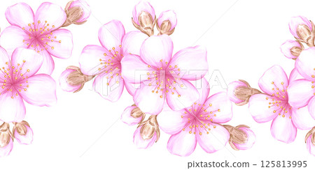 Hand drawn watercolor cherry blossom seamless border. Illustration of spring flowers isolated on white background. Can be used for textile, fabric, wrapping and other printed products. Hand drawn watercolor cherry blossom seamless border. Illustration of spring flowers isolated on white background. Can be used for textile, fabric, wrapping and other printed products. 125813995