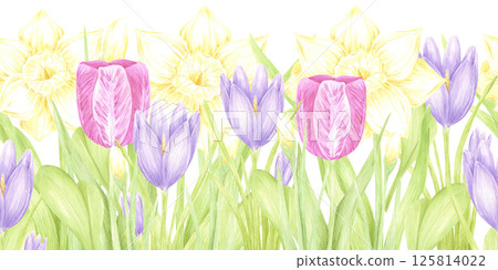 Hand drawn watercolor daffodil crocus and tulip with green leaves bouquet seamless border isolated on white background. Can be used for postcard, textile, scrapbook and other printed products. 125814022