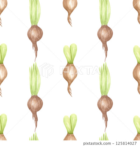 Hand drawn watercolor hyacinth bulbs with green leaves seamless pattern isolated on white background. Can be used for textile, fabric, scrapbook and other printed products. 125814027
