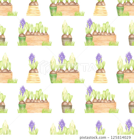 Hand drawn watercolor blooming hyacinth in pots and boxes seamless pattern, flowers isolated on white background. Can be used for textile, fabric, scrapbook and other printed products. Hand drawn watercolor blooming hyacinth in pots and boxes seamless pattern, flowers isolated on white background. Can be used for textile, fabric, scrapbook and other printed products. 125814029