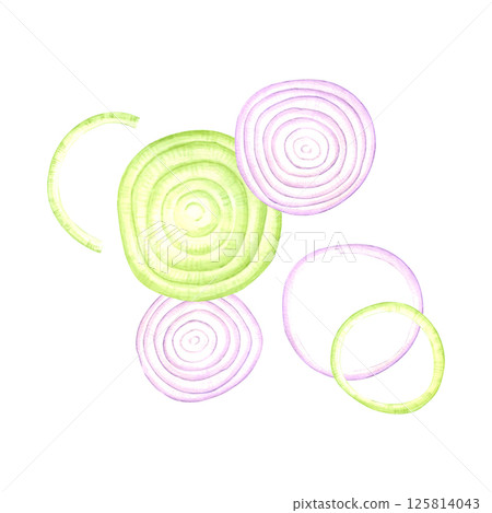 Hand drawn watercolor red and green onion rings composition. Illustration of vegetable isolated on white background. Can be used for label, card, scrapbook and other printed products. 125814043