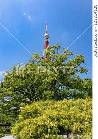 Around Tokyo Tower Around Tokyo Tower 125814120