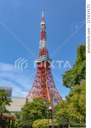 Around Tokyo Tower 125814172