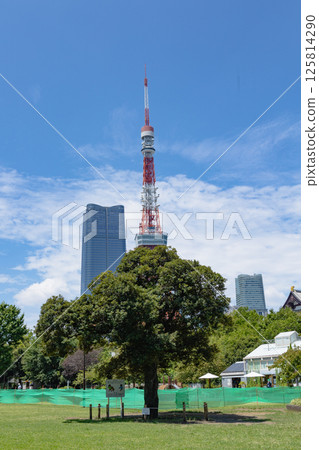 東京塔周圍 東京塔周圍 125814290