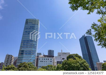 Around Tokyo Tower 125814377