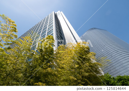 Landscape of the office area with green 125814644