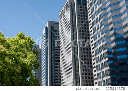 辦公區域的風景與綠色的 125814678