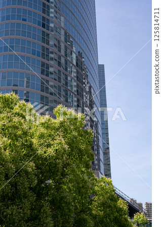 Urban landscape with fresh greenery 125814711