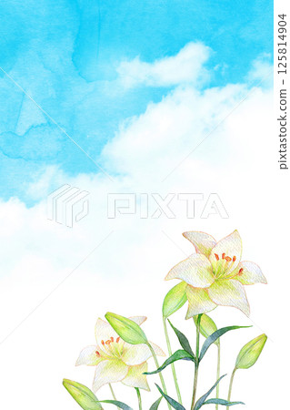 Watercolor illustration: Blue sky and white lily flower field 125814904