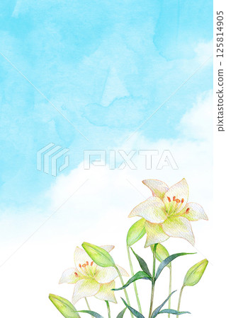 水彩插圖：藍天白百合花田 125814905