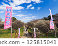 越谷梅花森林公園梅花節 125815041