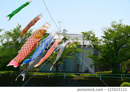 Carp streaming festival festival Carp streaming festival festival 125815112