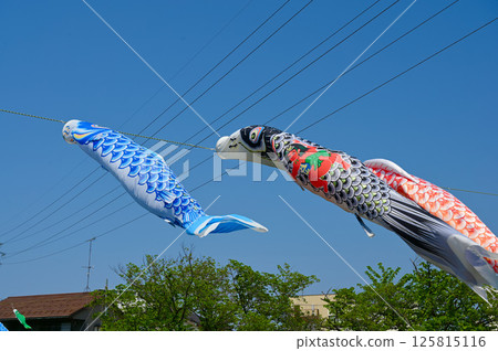 鯉魚旗 - 四季風景 鯉魚旗 - 四季風景 125815116