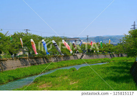鯉魚旗 高橋川 金澤市橫川 鯉魚旗 高橋川 金澤市橫川 125815117