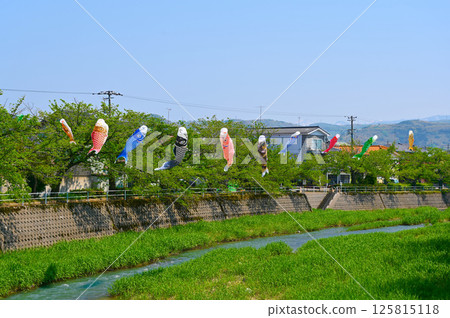 鯉魚旗 高橋川 金澤市橫川 鯉魚旗 高橋川 金澤市橫川 125815118