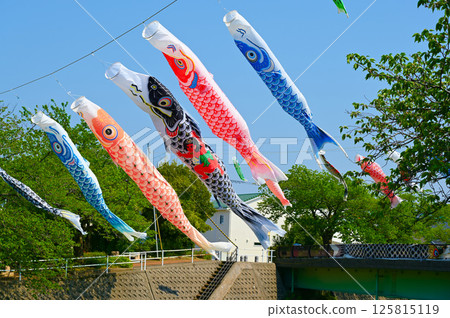 Carp streamers - Seasonal scenery 125815119